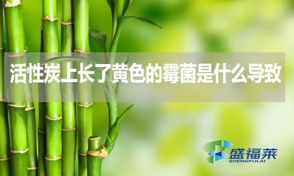 活性炭上長了黃色的霉菌是什么導致的？還能不能使用？